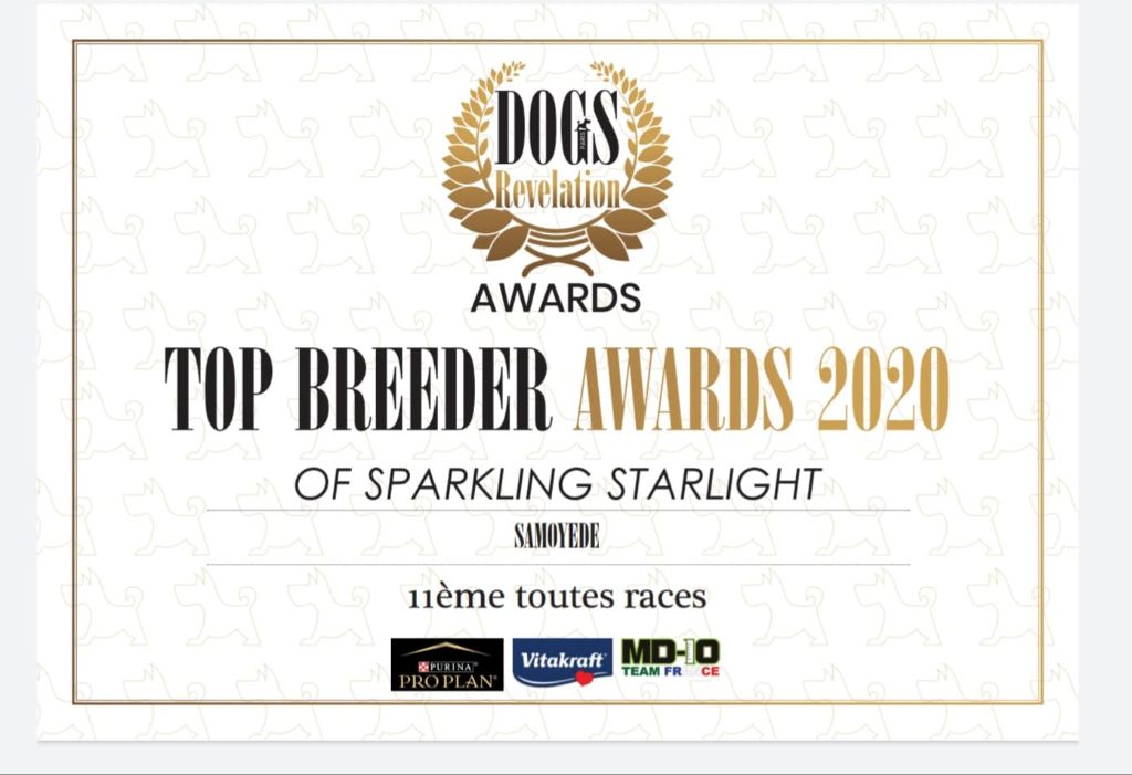 of Sparkling Starlight - Meilleur élevage Français 