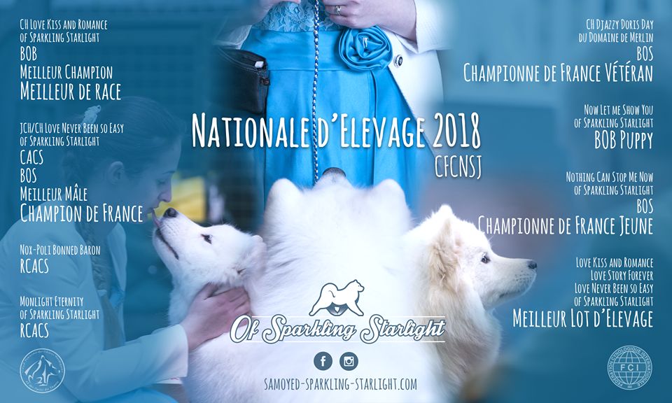 of Sparkling Starlight - championnat du club des samoyede CFCNSJ 2018